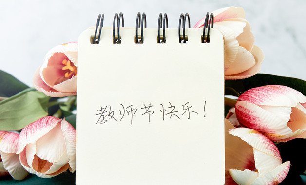 网络推广个人总结(15篇)